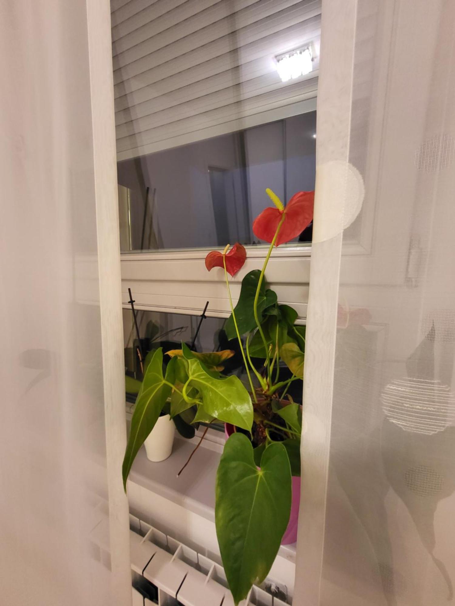 Apartman Jarun Lake Lux Zagreb Exteriör bild